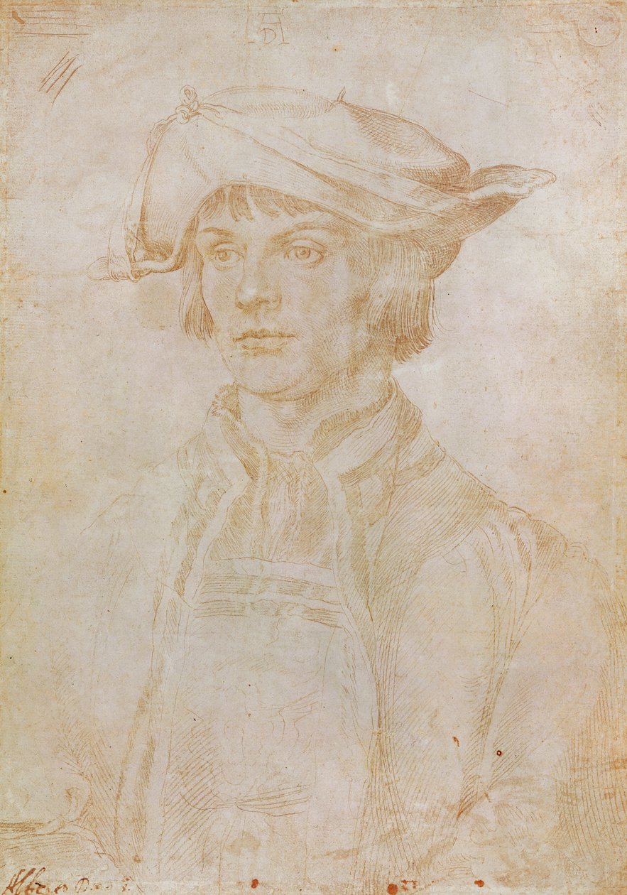 肖像Lucas van Leyden（1494-1533），荷兰画家和雕刻师，1521年（银点画在纸上） 作者 阿尔布雷希特丢勒