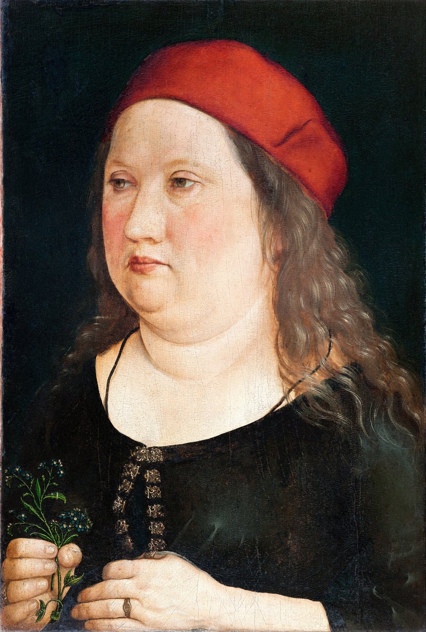 未知的保姆 作者 Albrecht（向）Durer或Duerer