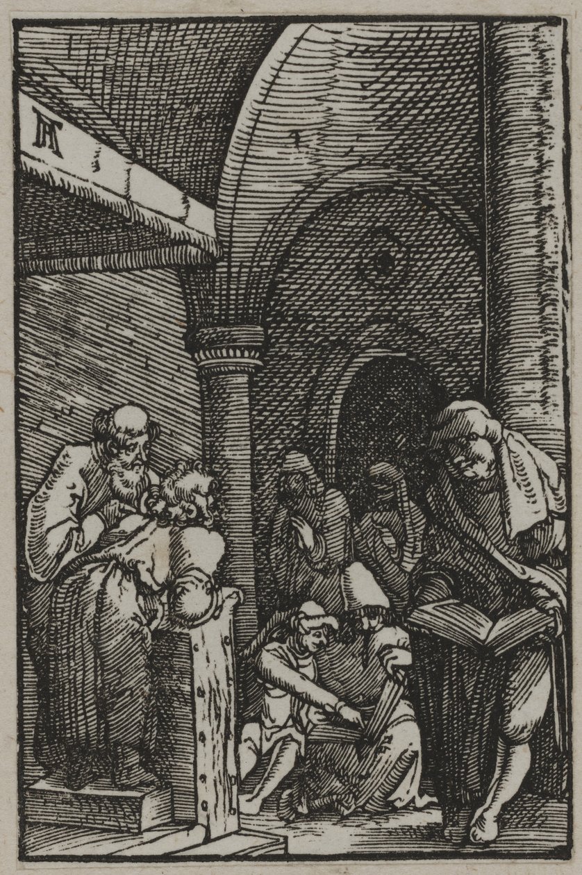 医生中的基督，约1515年（木刻） 作者 阿尔布雷希特·阿尔特多夫（Albrecht Altdorfer）