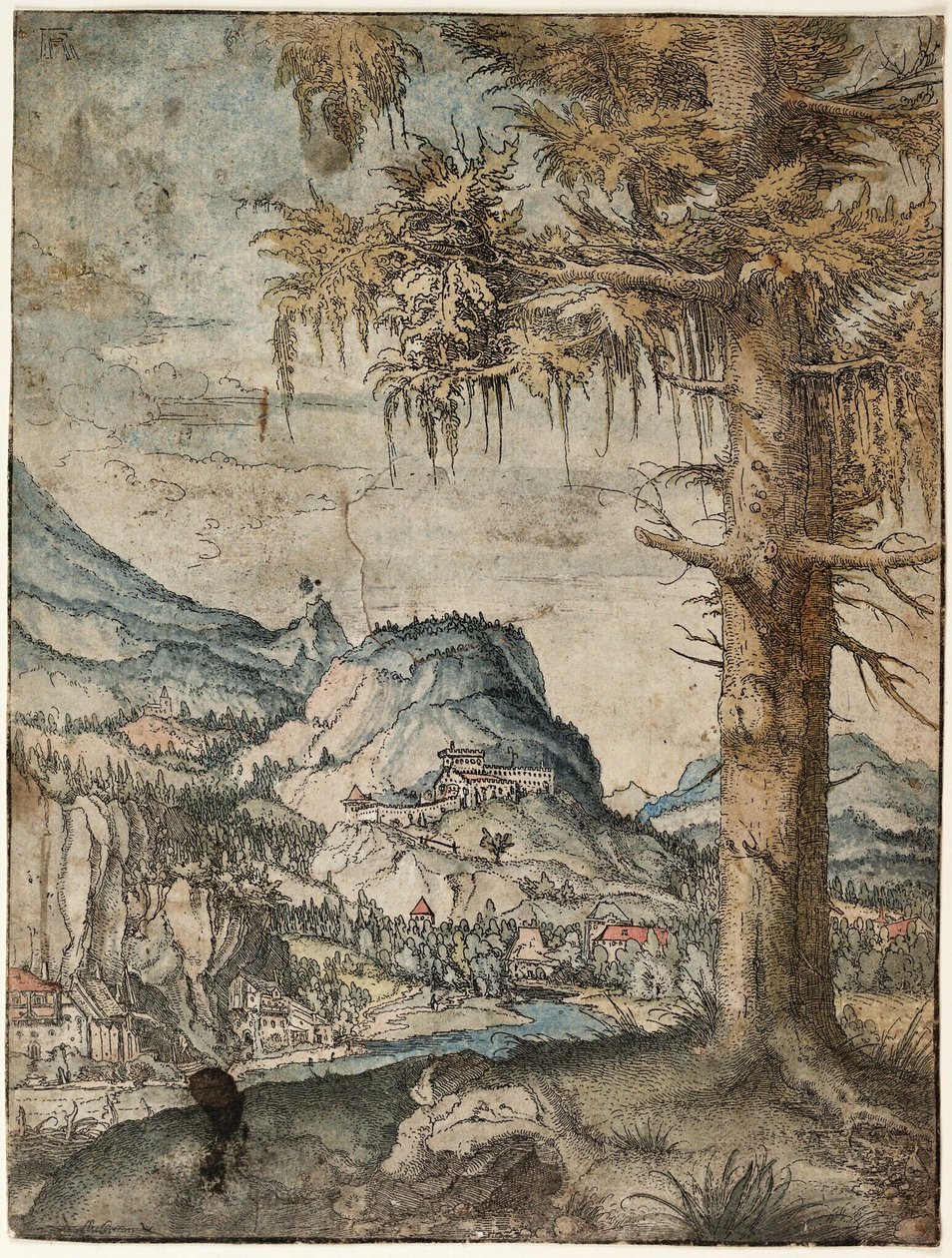 德国：大云杉 大云杉 作者 阿尔布雷希特·阿尔特多夫（Albrecht Altdorfer）