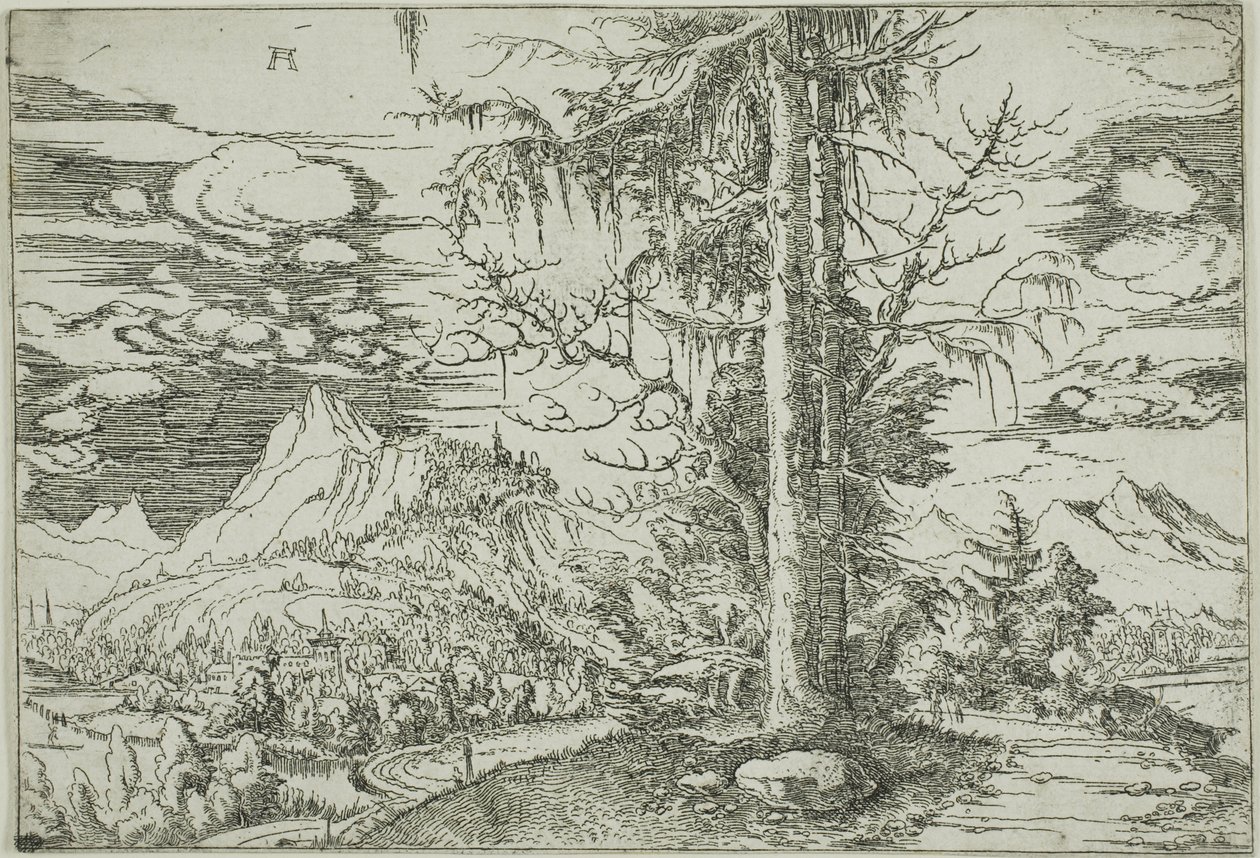 双云杉景观 作者 阿尔布雷希特·阿尔特多夫（Albrecht Altdorfer）