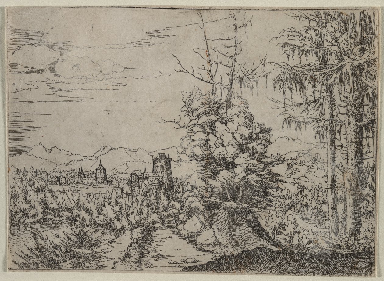 双松景观 作者 阿尔布雷希特·阿尔特多夫（Albrecht Altdorfer）
