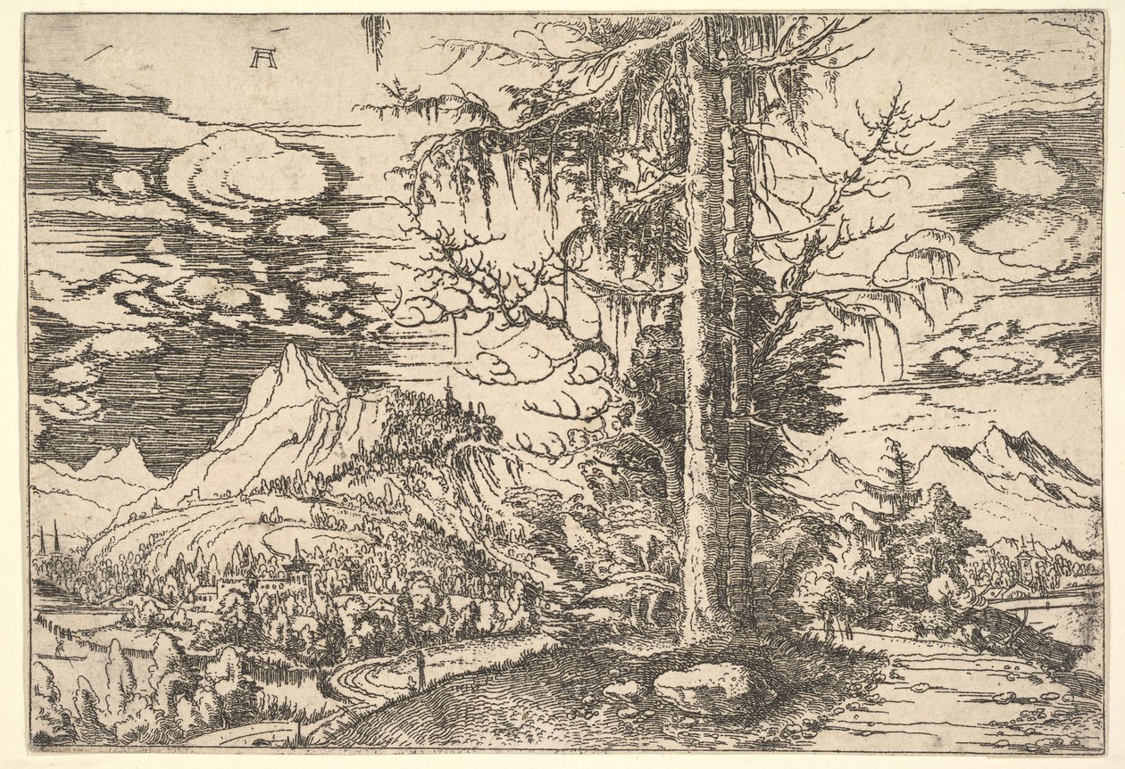 景观与双云杉，ca。 1521-22。 作者 阿尔布雷希特·阿尔特多夫（Albrecht Altdorfer）