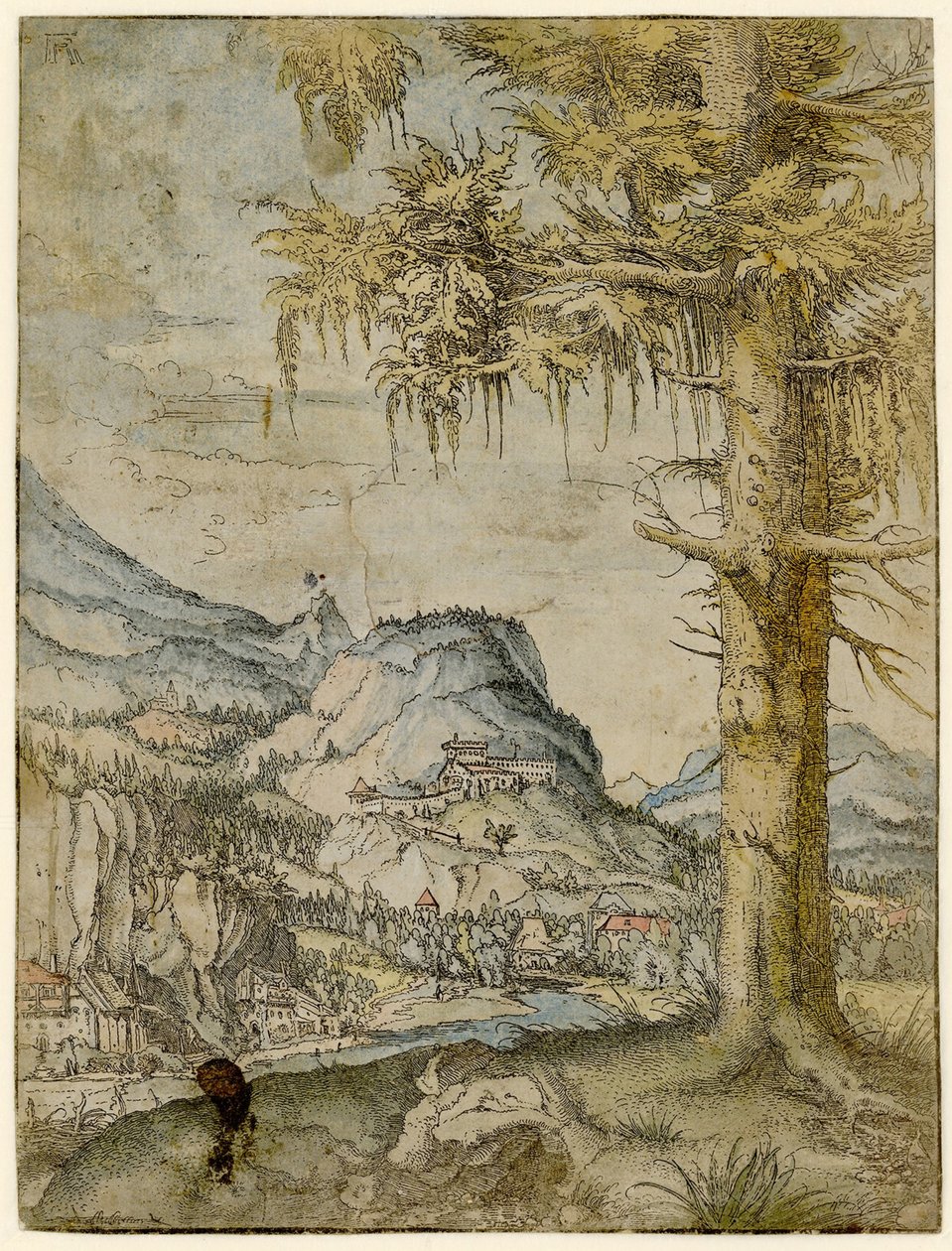 大云杉，约1517-1520年。 作者 阿尔布雷希特·阿尔特多夫（Albrecht Altdorfer）