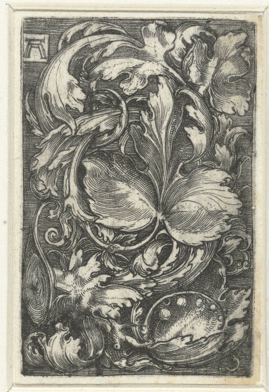枝繁叶茂的藤蔓装饰 作者 阿尔布雷希特·阿尔特多夫（Albrecht Altdorfer）