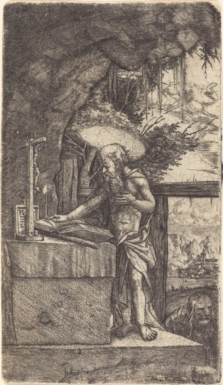 圣杰罗姆阅读 作者 阿尔布雷希特·阿尔特多夫（Albrecht Altdorfer）