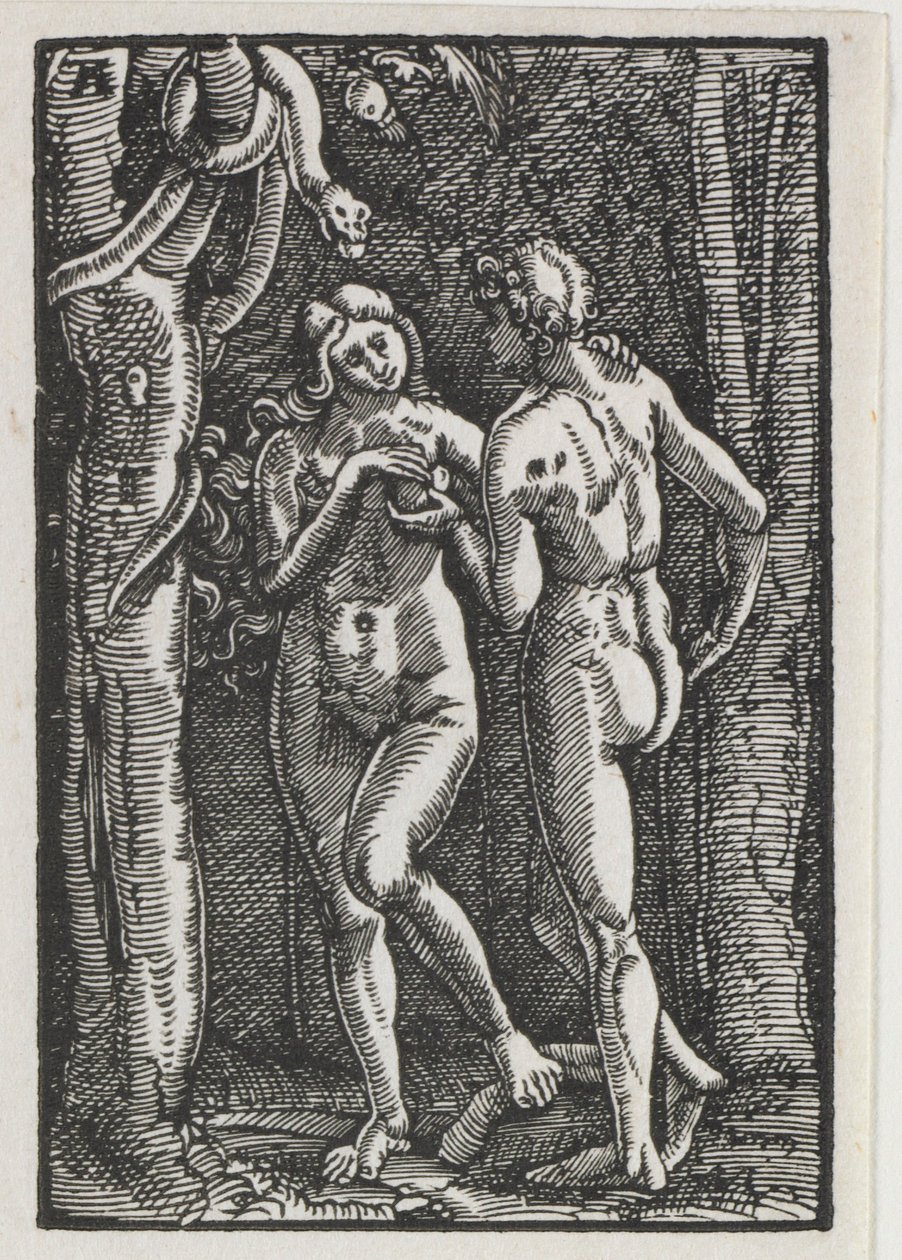 人的堕落与救赎：亚当和夏娃吃禁果，c。 1513。 作者 阿尔布雷希特·阿尔特多夫（Albrecht Altdorfer）