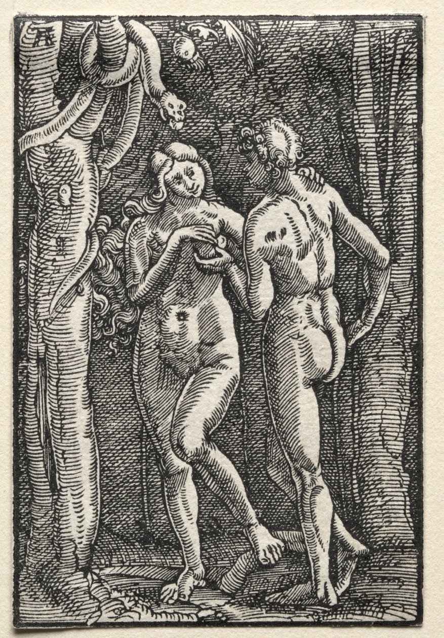 人的堕落与救赎：亚当和夏娃吃禁果，c。 1515。 作者 阿尔布雷希特·阿尔特多夫（Albrecht Altdorfer）