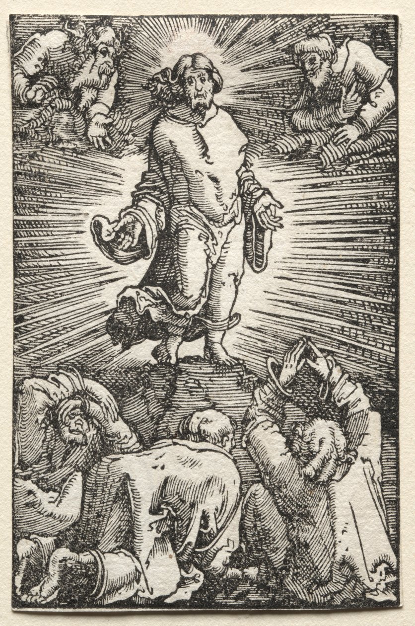 人的堕落与救赎：变形，c。 1515。 作者 阿尔布雷希特·阿尔特多夫（Albrecht Altdorfer）