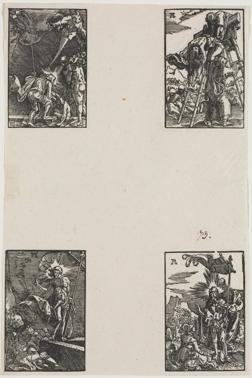 人的堕落与救赎，c。 1515。 作者 阿尔布雷希特·阿尔特多夫（Albrecht Altdorfer）