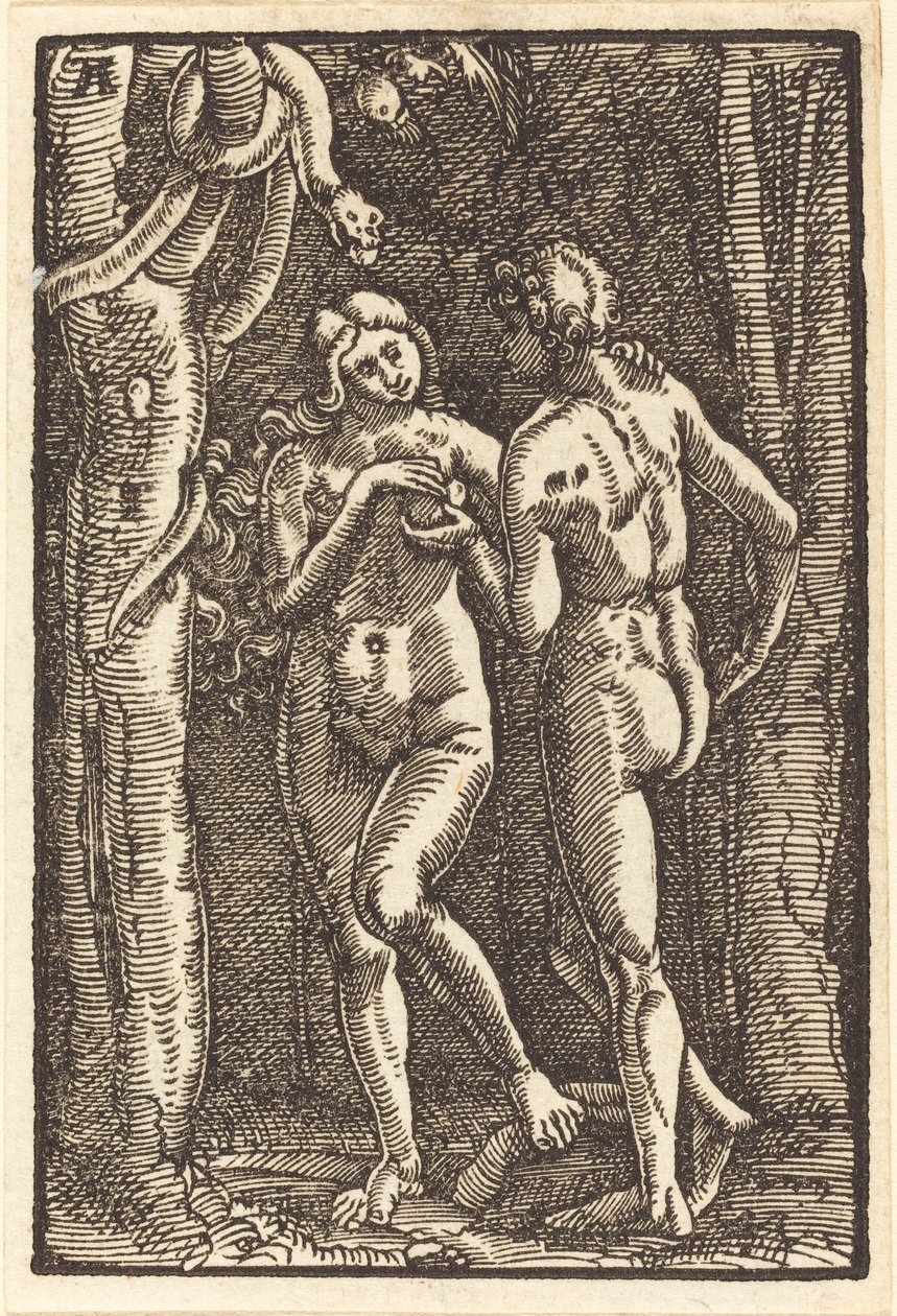 人类的堕落 作者 阿尔布雷希特·阿尔特多夫（Albrecht Altdorfer）