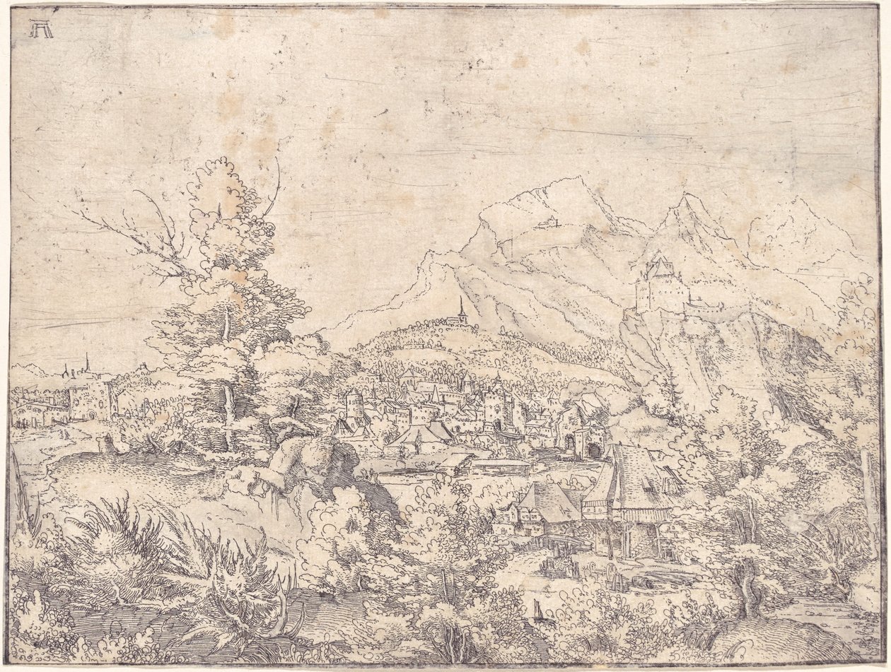 水磨坊大景观 作者 阿尔布雷希特·阿尔特多夫（Albrecht Altdorfer）
