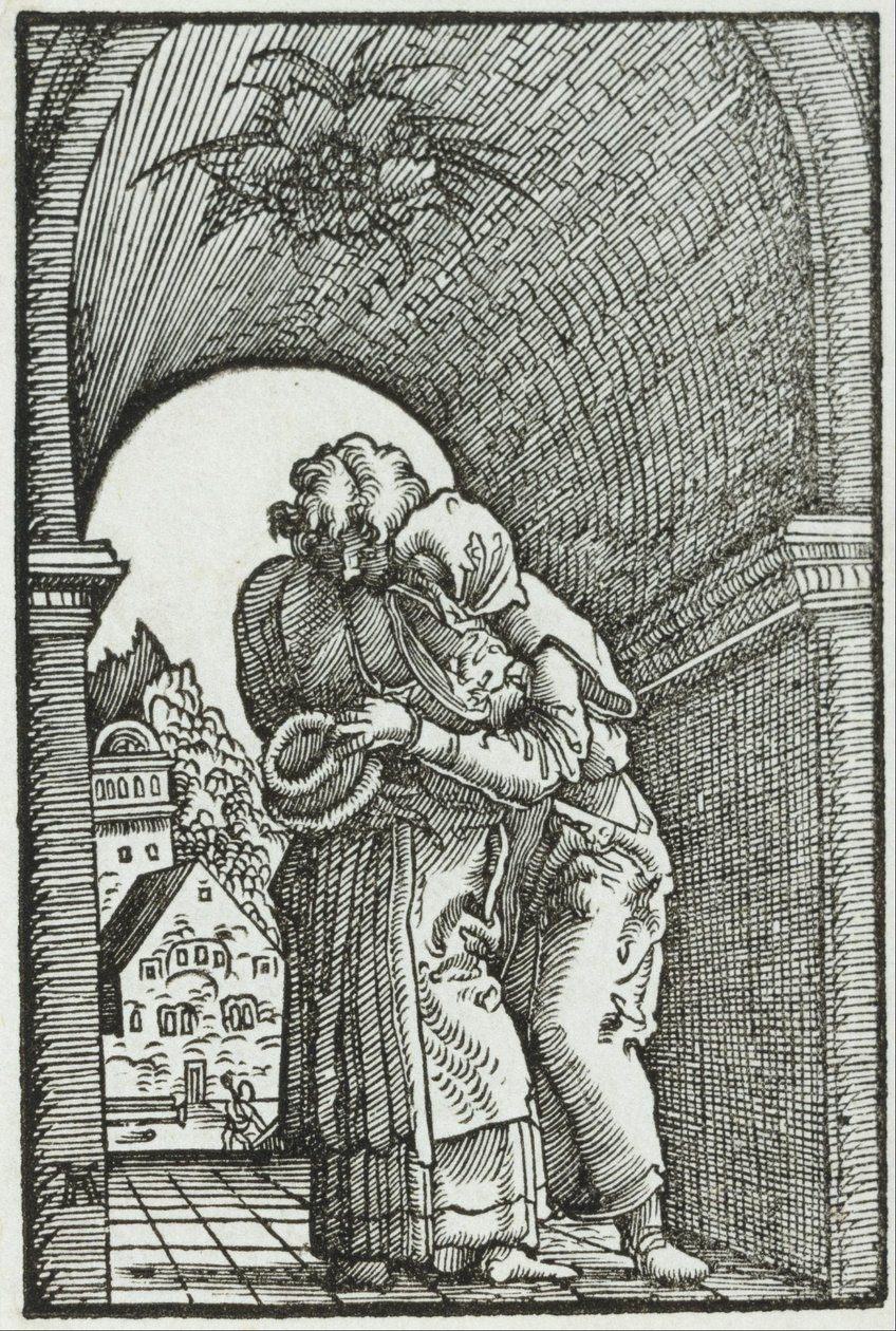 约阿希姆和安妮的会面 作者 阿尔布雷希特·阿尔特多夫（Albrecht Altdorfer）