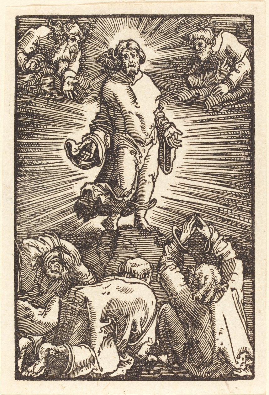变容 作者 阿尔布雷希特·阿尔特多夫（Albrecht Altdorfer）