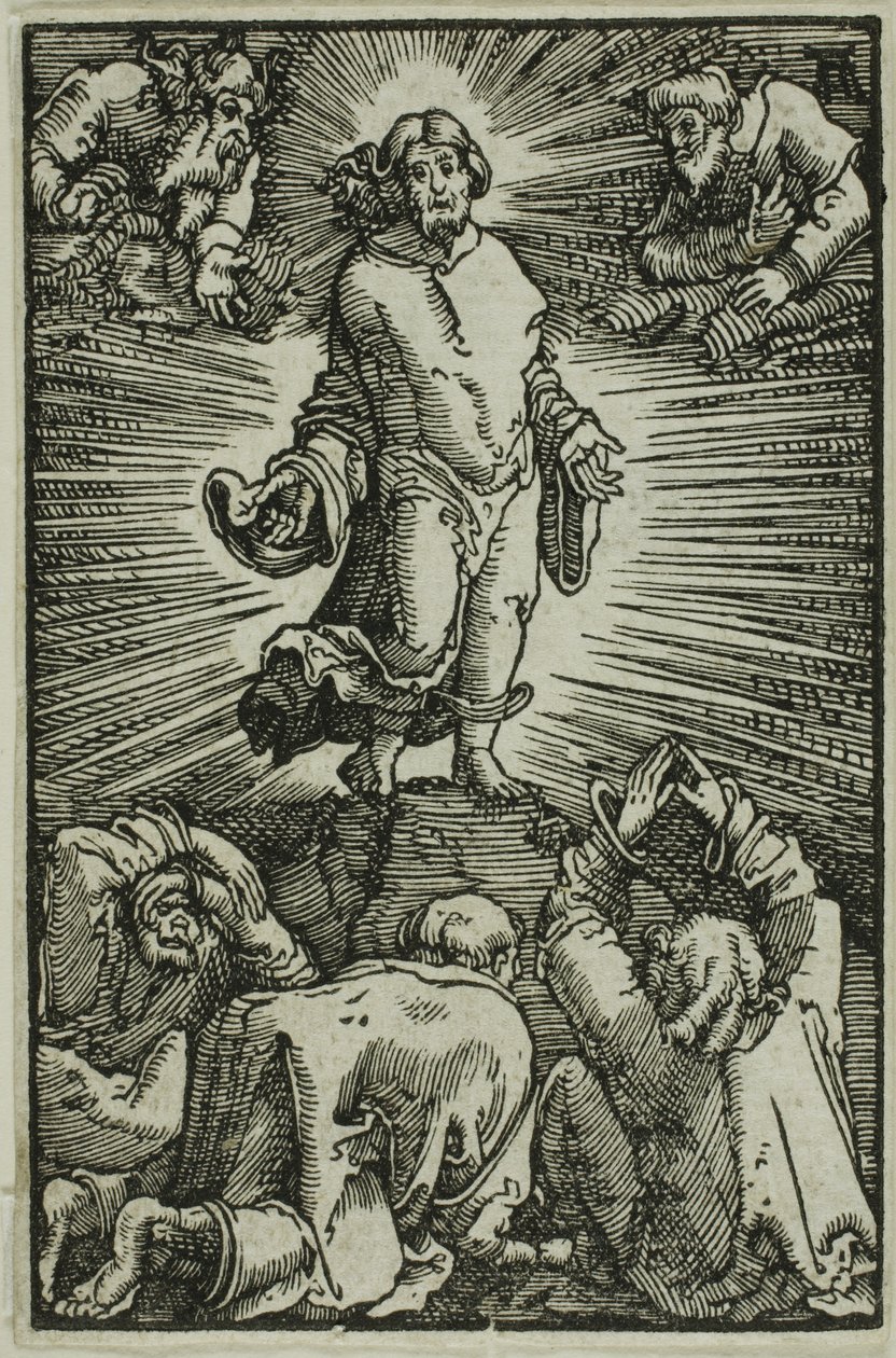 变容，选自《人的堕落与救赎 作者 阿尔布雷希特·阿尔特多夫（Albrecht Altdorfer）