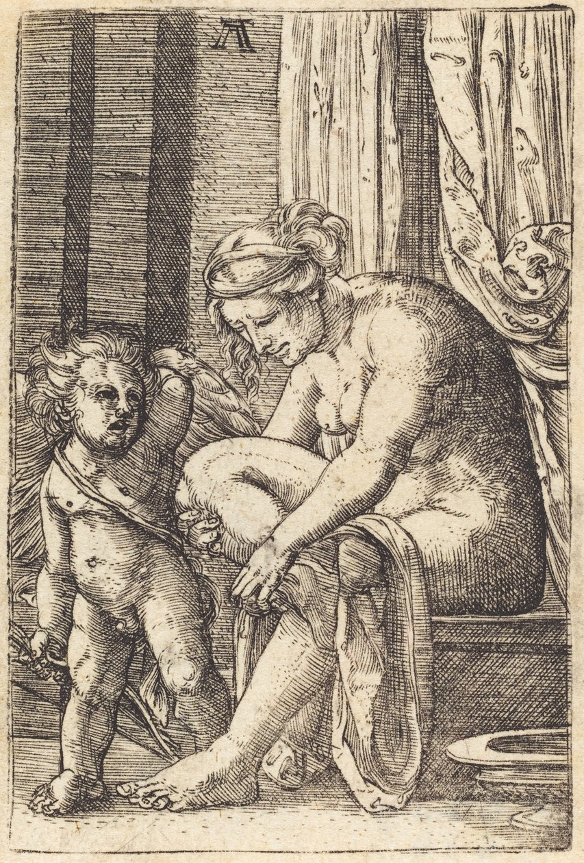 浴后维纳斯 作者 阿尔布雷希特·阿尔特多夫（Albrecht Altdorfer）