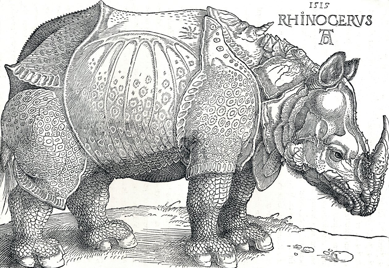 犀牛，1515年，1906年 作者 阿尔布雷希特丢勒