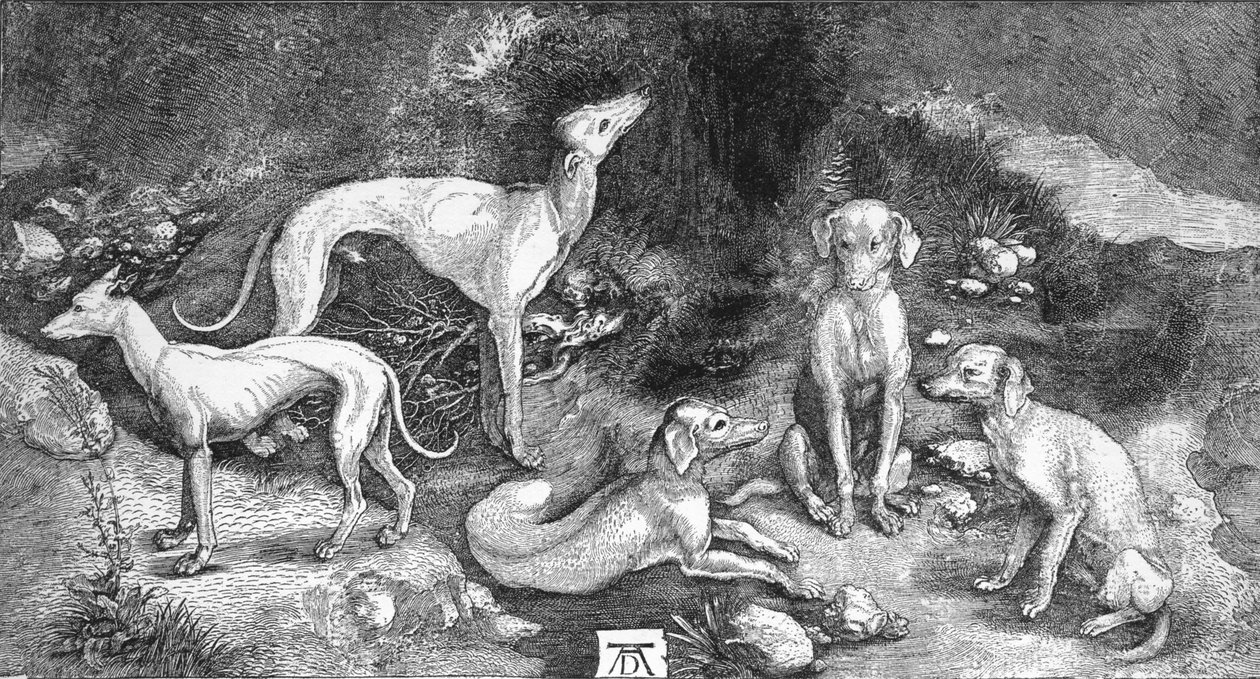 狗群。摘自圣·尤斯塔斯（S. Eustace）的版画，作者：A。Durer，c1500，1906 作者 阿尔布雷希特丢勒