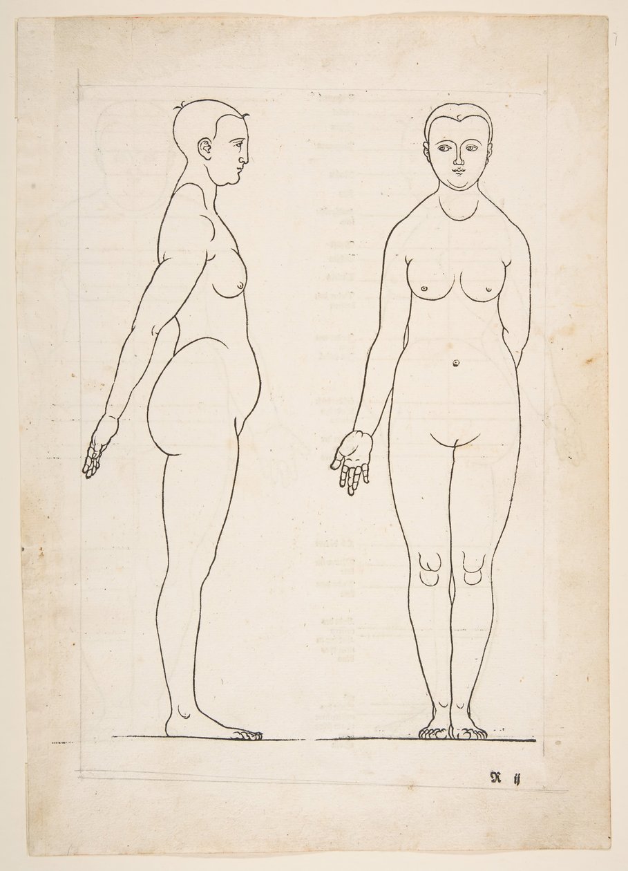 丢勒的《Vier Bucher von Menslicher Proportion》插图，纽伦堡，1528年，未注明。 作者 阿尔布雷希特丢勒