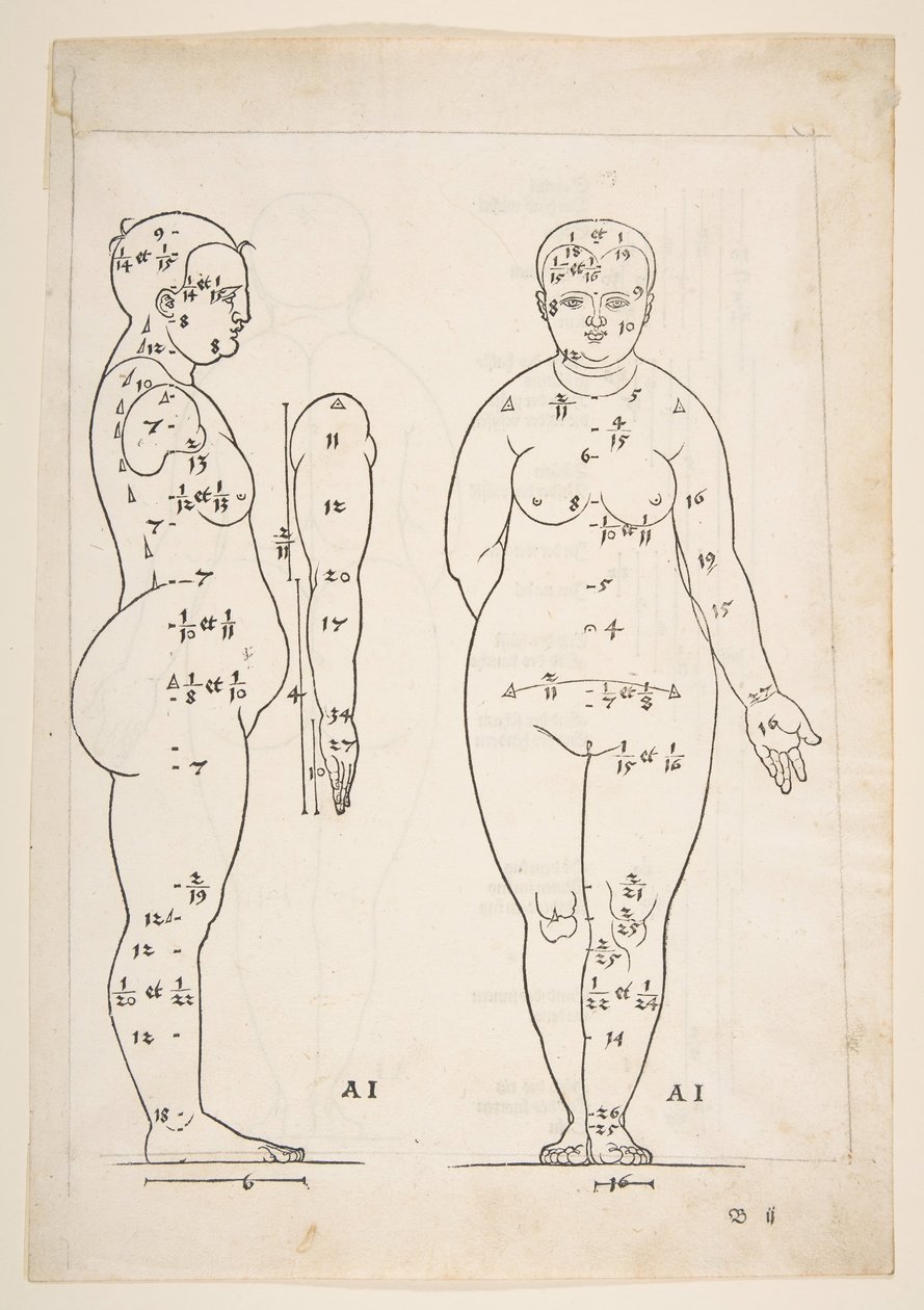 丢勒《Vier Bucher von Menslicher Proportion》中的插图，纽伦堡，1528年，未注明。 作者 阿尔布雷希特丢勒
