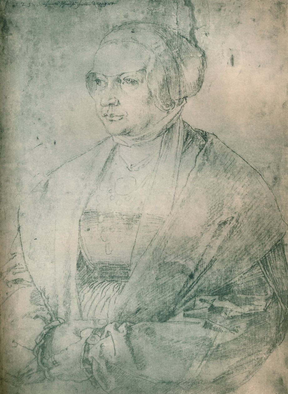 夫人的画像，c1500-1520，1903 作者 阿尔布雷希特丢勒
