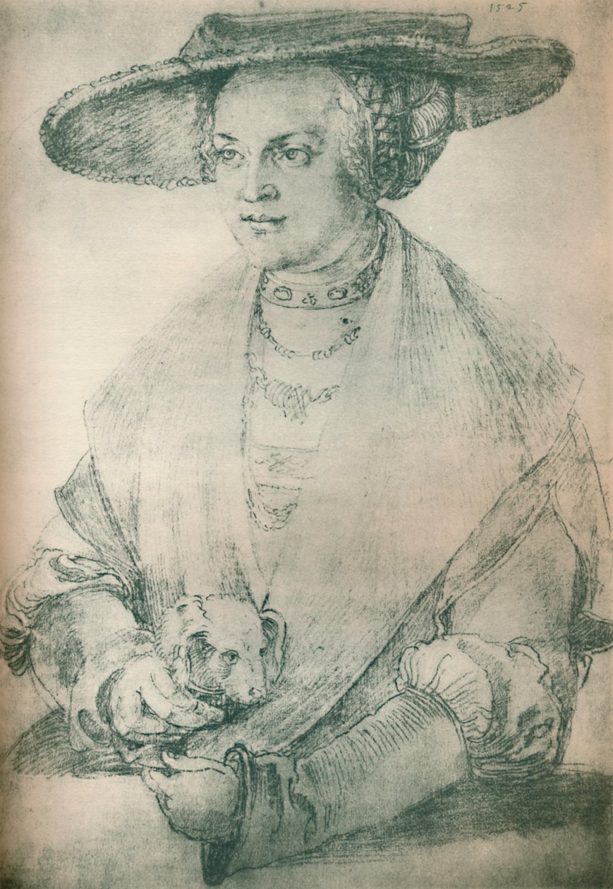 夫人的画像，c1500-1520，1903 作者 阿尔布雷希特丢勒