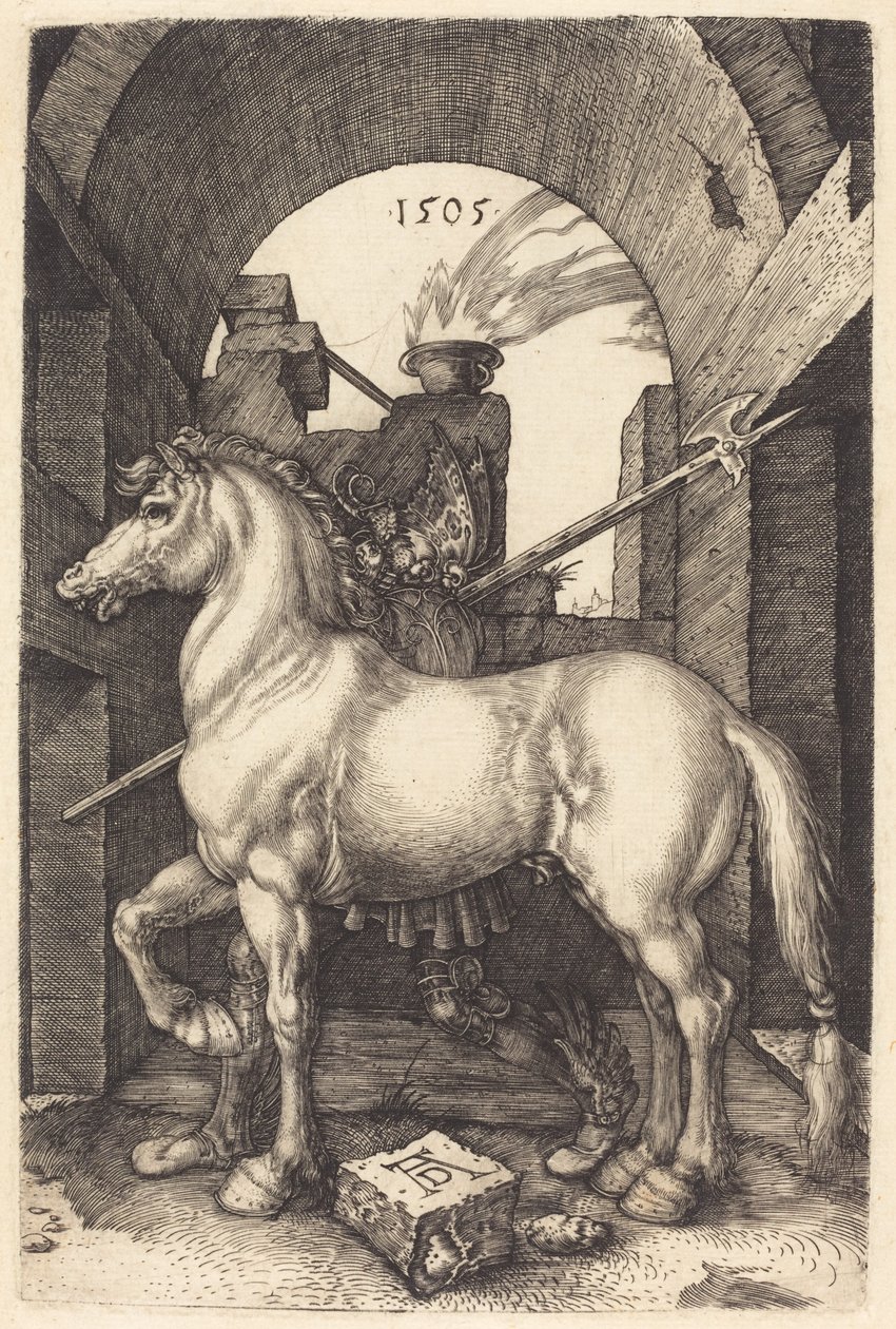 小马，1505年。 作者 阿尔布雷希特丢勒