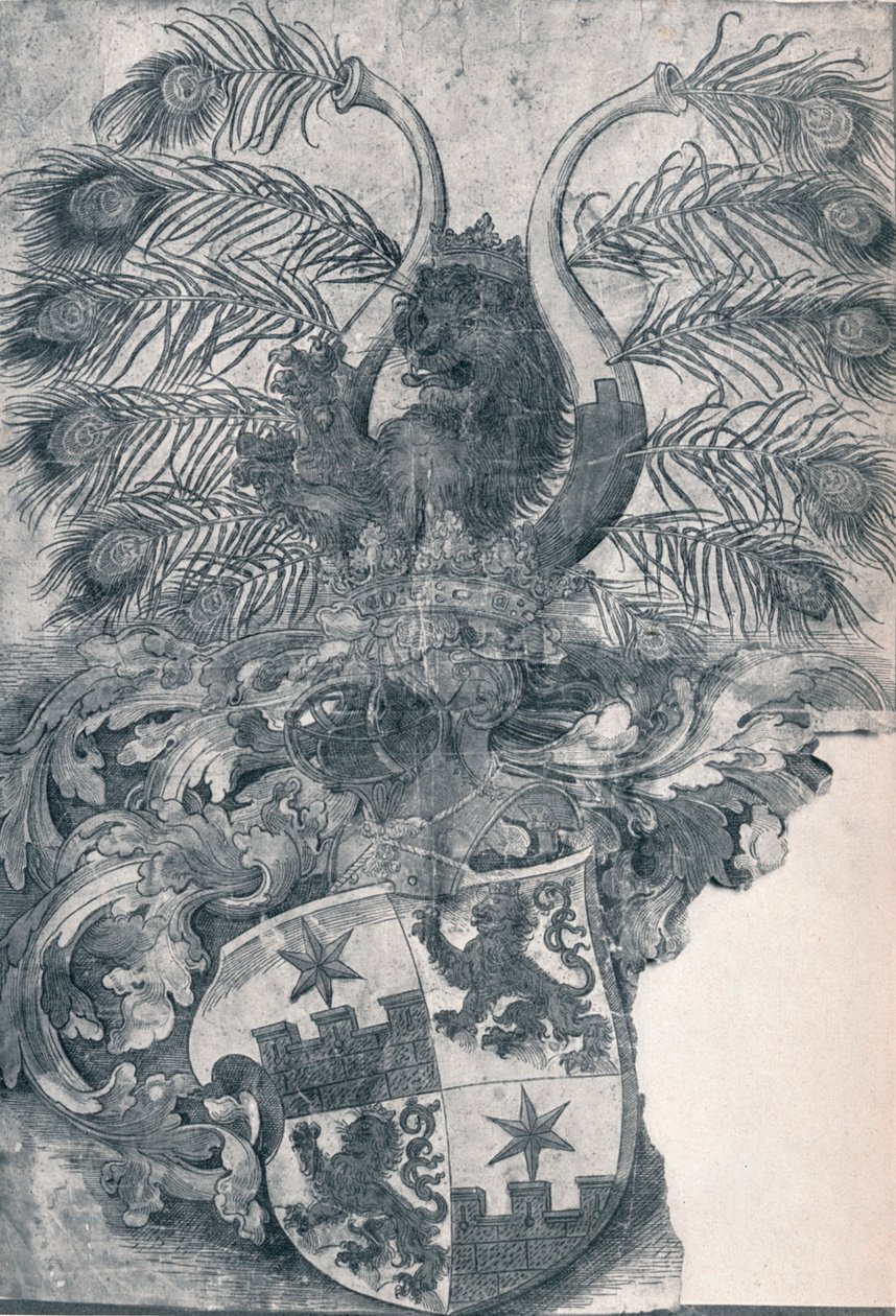 威廉和沃尔夫冈·罗根多夫的徽章，1520年，1906年 作者 阿尔布雷希特丢勒