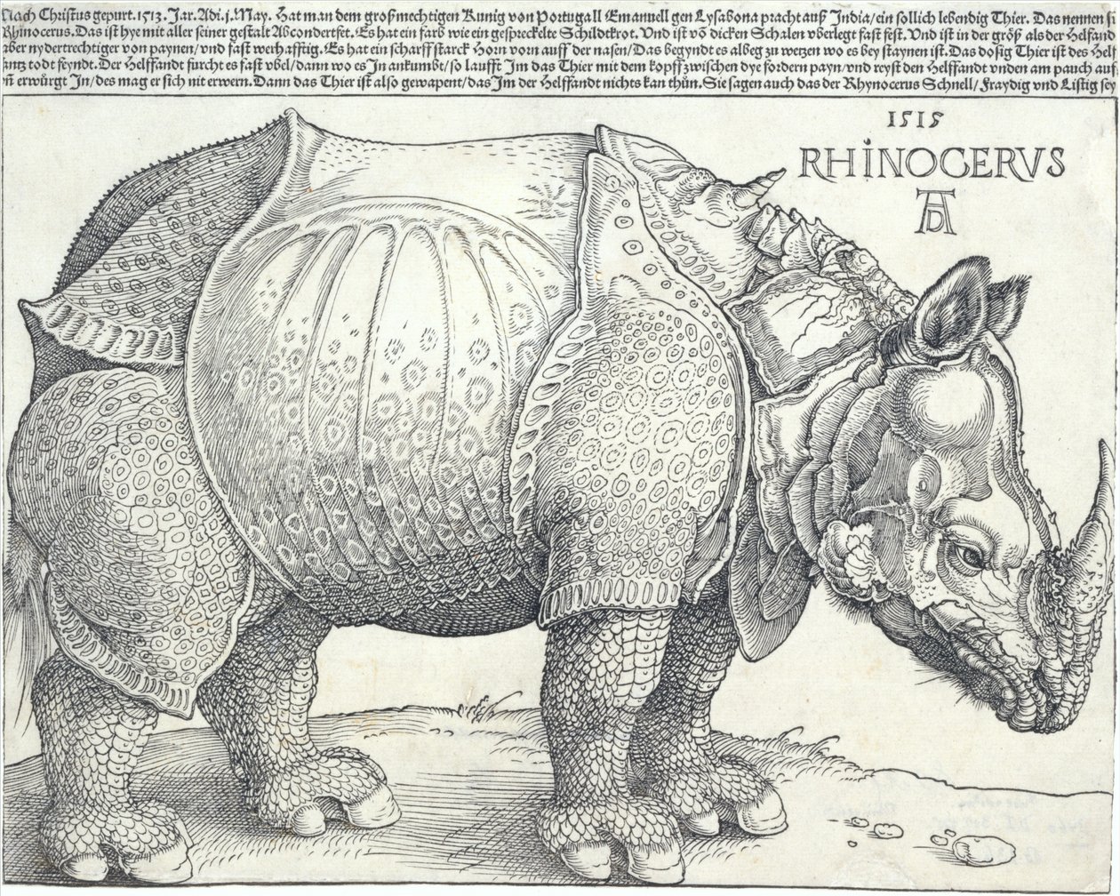 犀牛》，1515.，1515.。 作者 阿尔布雷希特丢勒