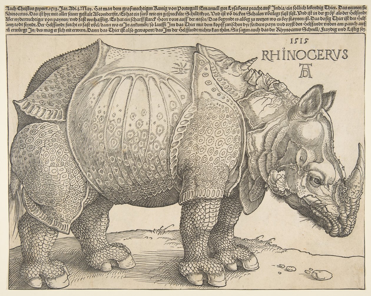 The Rhinoceros.n.a. 作者 阿尔布雷希特丢勒