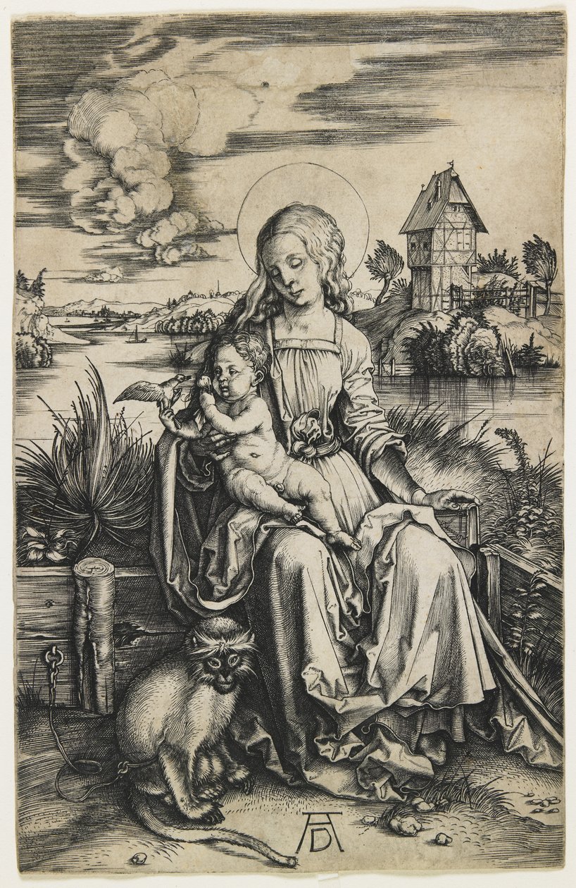 圣母子与猴子，c。 1498 作者 阿尔布雷希特丢勒