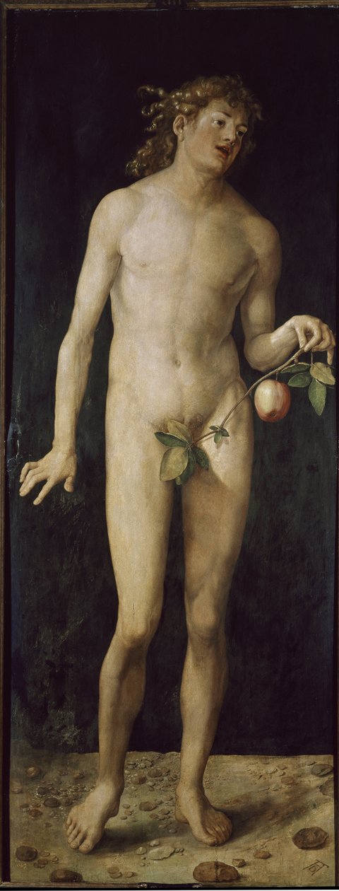 Adam (oil on wood 作者 阿尔布雷希特丢勒