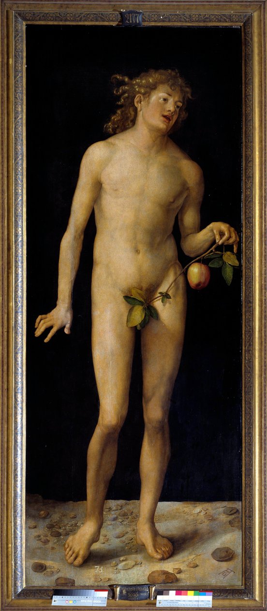 阿尔布雷希特·杜勒 (Albrecht Durer) (1471-1528) 1507 年的亚当绘画。 2,09 x 0,80 m 马德里，普拉多博物馆 - 亚当。 阿尔布雷希特·杜勒 (Albrecht Durer) 的绘画 (1471-1528)，面板油画 作者 阿尔布雷希特丢勒