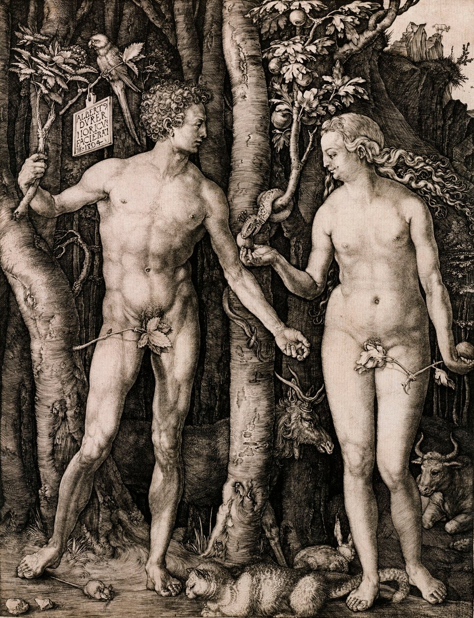 Adam and Eve 作者 阿尔布雷希特丢勒