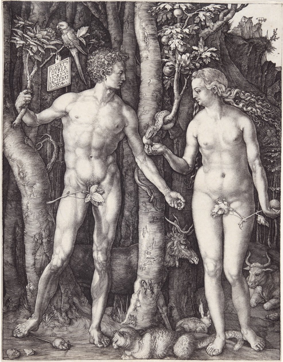 亚当和夏娃，出版。1504年（雕版画 作者 阿尔布雷希特丢勒