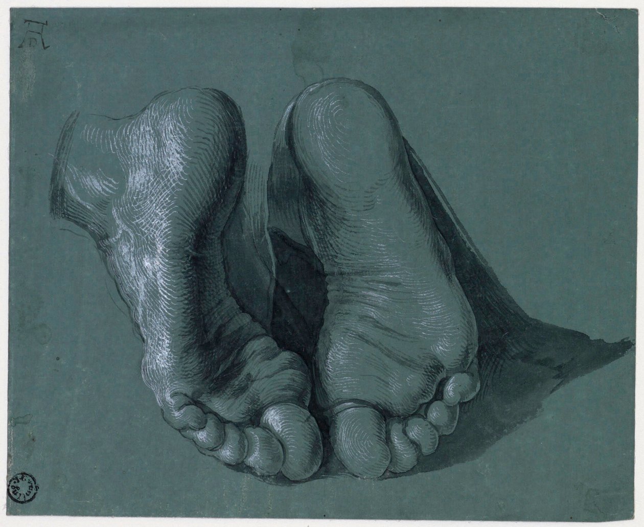 Etude de pieds - 两只脚的研究 - 阿尔布雷希特-杜勒（1471-1528 年）的素描，纸上水彩、白色、黑色粉笔，约 1508 年（17,6x21,6 厘米） - 鹿特丹博伊曼斯-范布宁根博物馆 作者 阿尔布雷希特丢勒