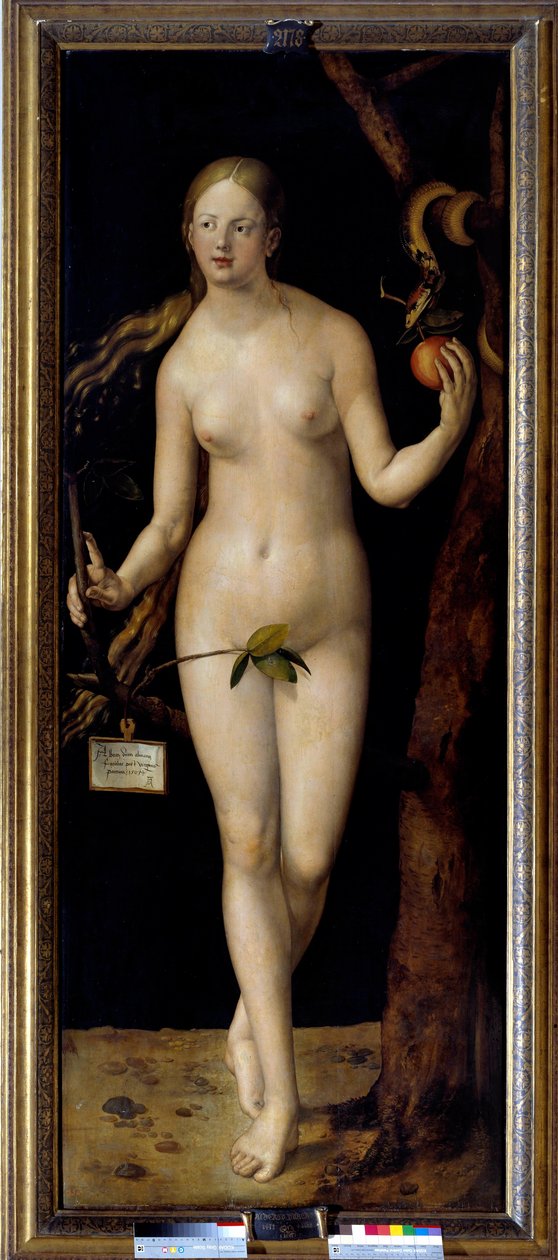 阿尔布雷希特·杜勒 (Albrecht Durer) 的夏娃绘画 (1471-1528)，木上油彩 作者 阿尔布雷希特丢勒