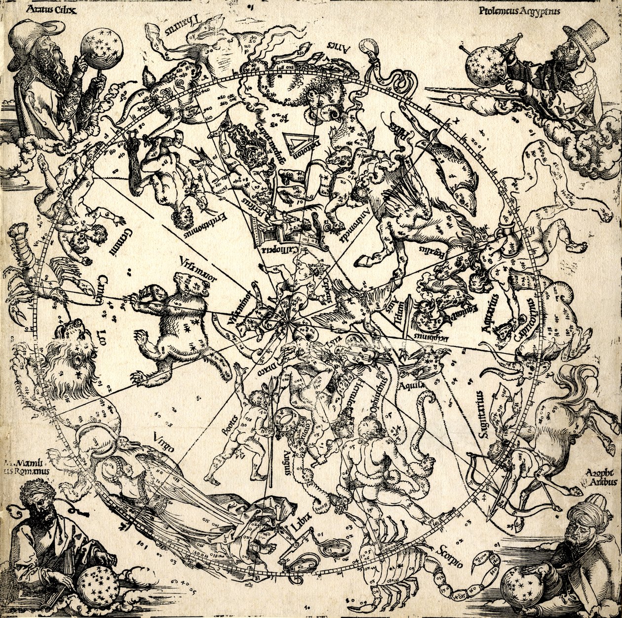 Imagines coeli Septentrionales cum duodecim imaginibus zodiaci，约 1510 年至 20 年（木刻） 作者 阿尔布雷希特·丢勒或丢勒