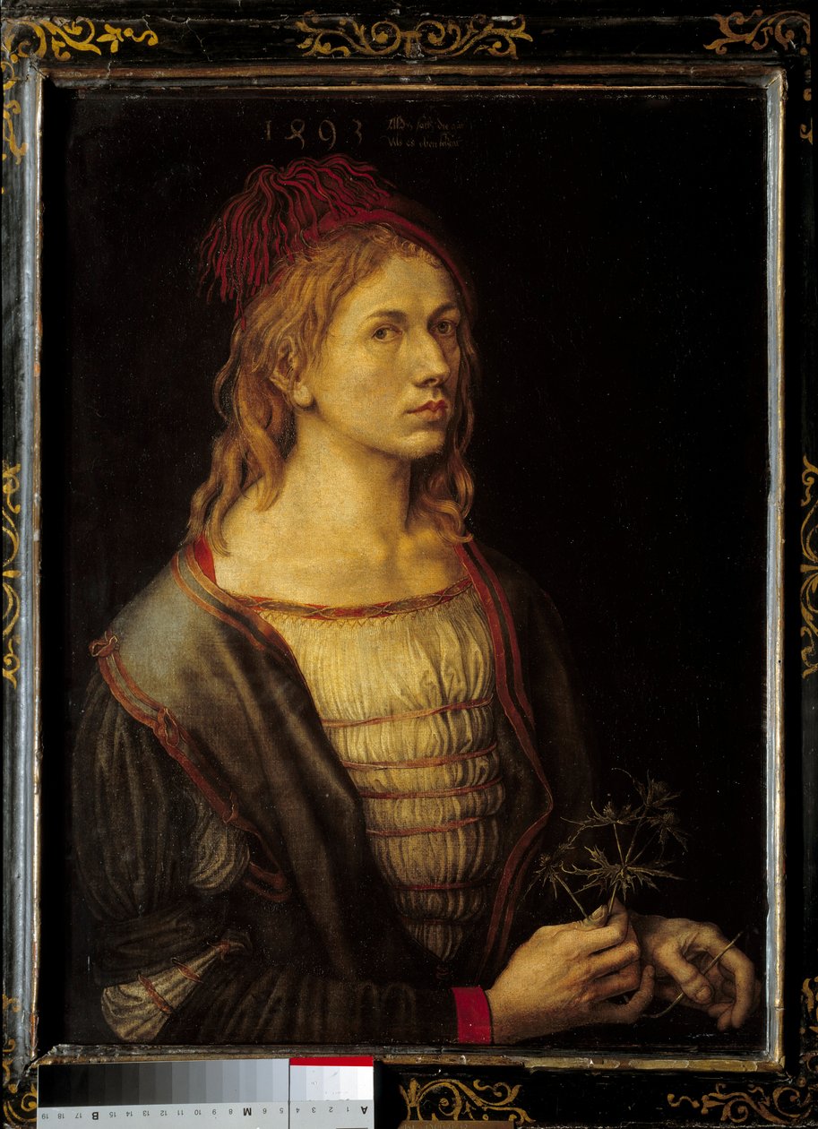 Self Portrait with a Thistle 作者 阿尔布雷希特丢勒