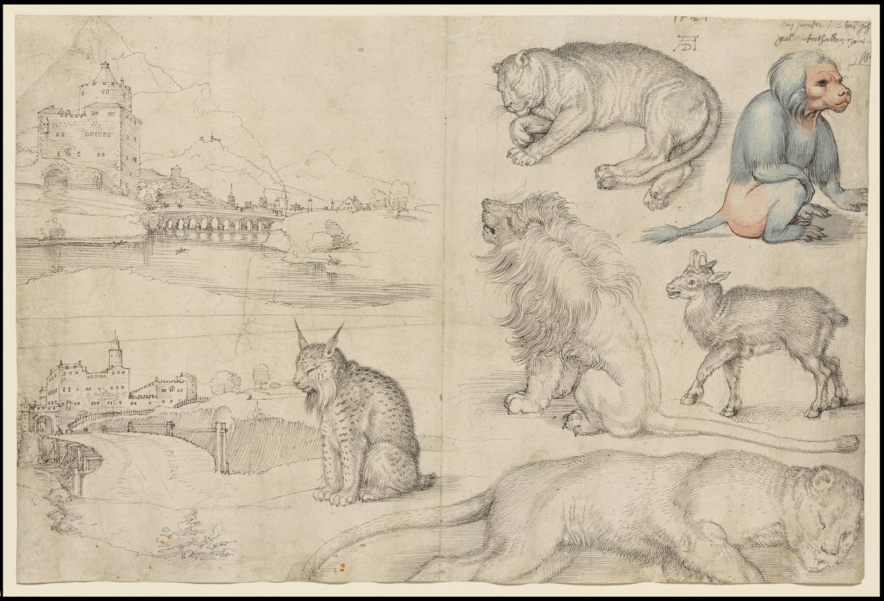 动物与风景草图，1521年 作者 阿尔布雷希特丢勒