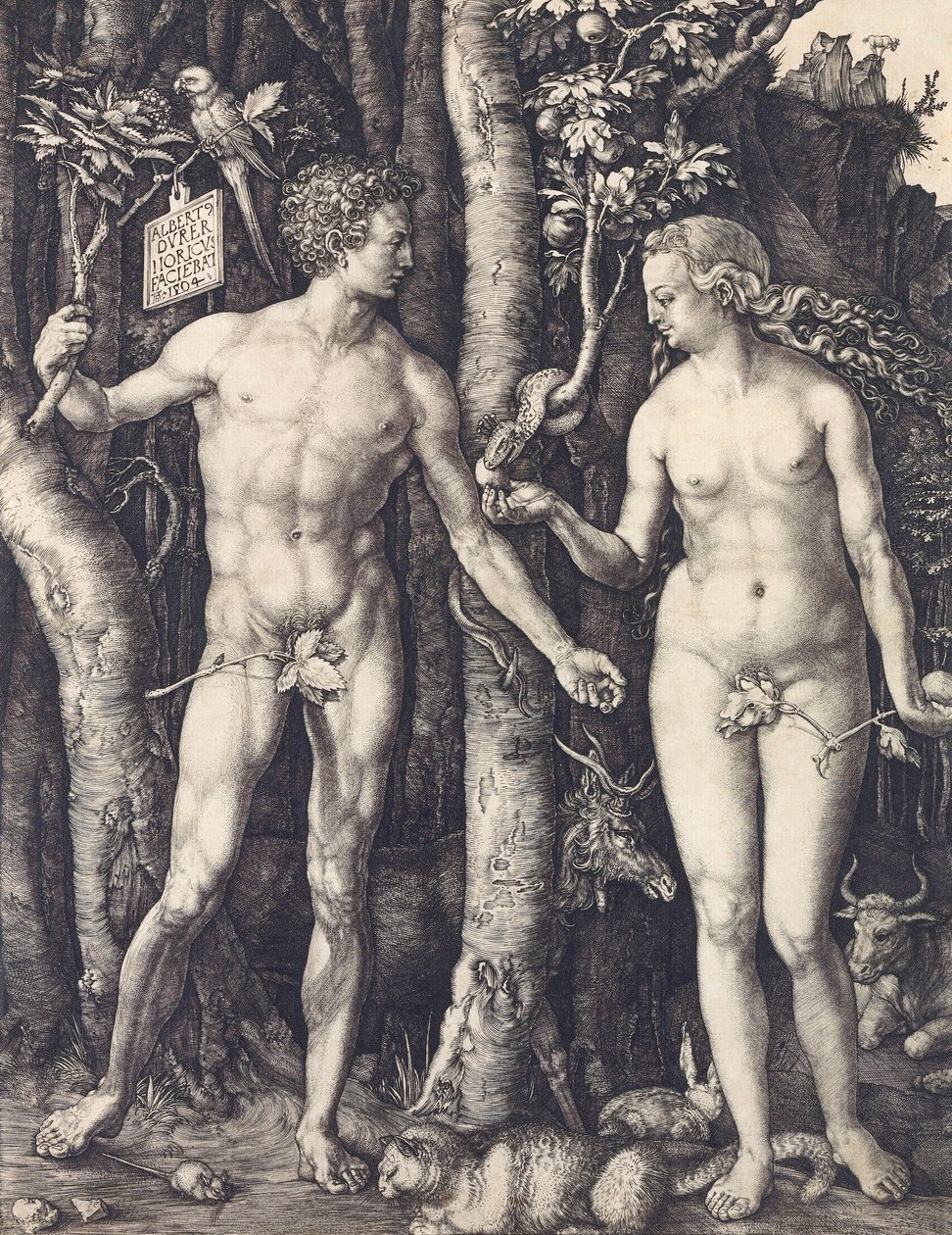 阿尔布雷希特-杜勒的《人的堕落》（The Fall of Man）。 作者 阿尔布雷希特丢勒