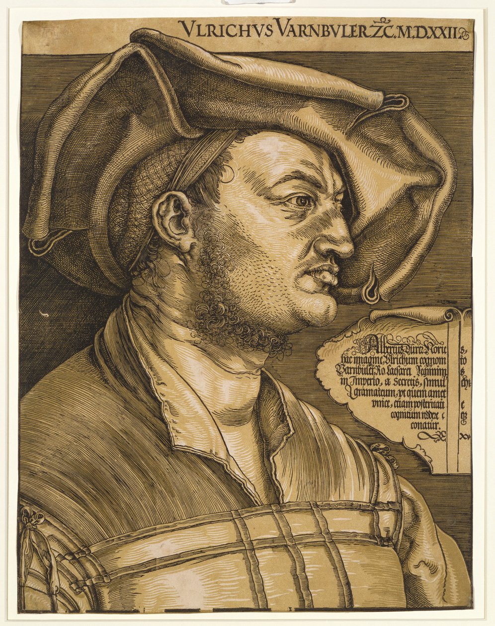 乌尔里希·瓦恩布尔（Ulrich Varnbuler），1522年 作者 阿尔布雷希特丢勒