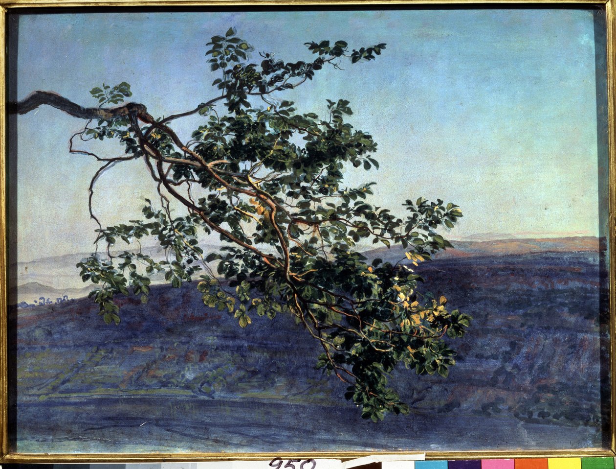 亚历山大-伊万诺夫（1806-1858）的 "La branche "画作（1840-1850 年） 莫斯科国立特列季亚科夫美术馆 作者 亚历山大·安德烈耶维奇·伊万诺夫（Aleksandr Andreevich Ivanov）