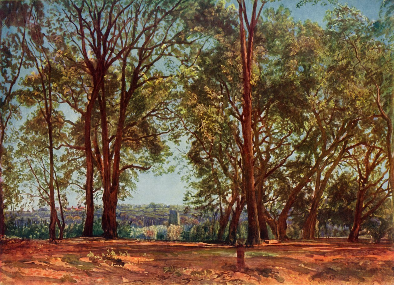 1965年，在阿里奇公园（Aricci Park），1830年代。 作者 亚历山大·伊万诺夫