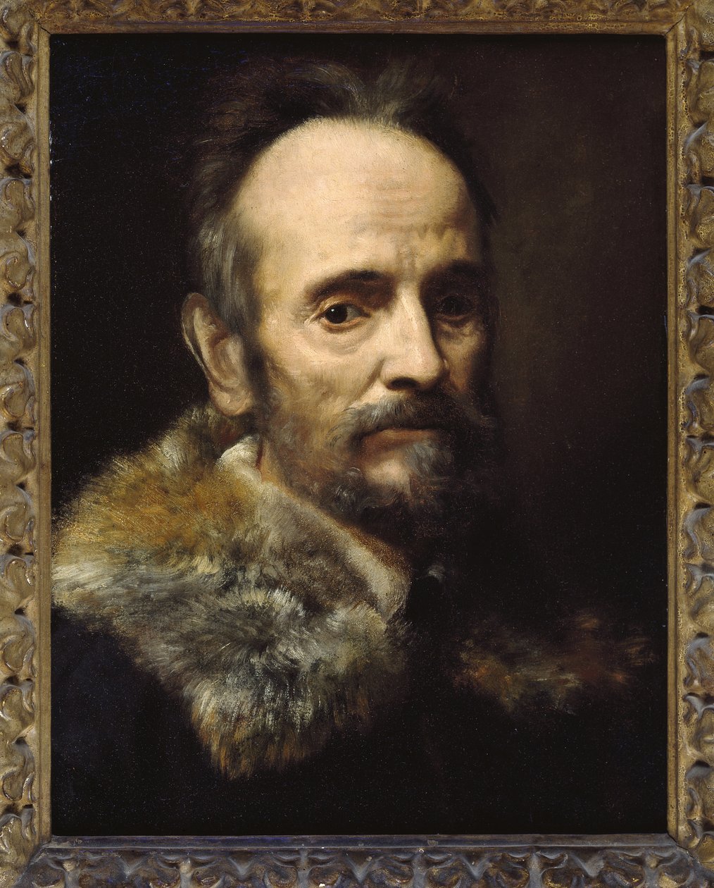Bernardo Davanzati Bostichi 作者 亚历山德罗·阿洛里（Alessandro Allori）