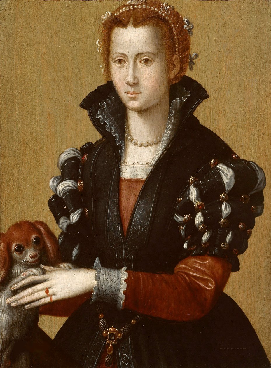 埃莱奥诺拉-达-托莱多（Eleonore de Tolede）画像 作者 亚历山德罗·阿洛里（Alessandro Allori）