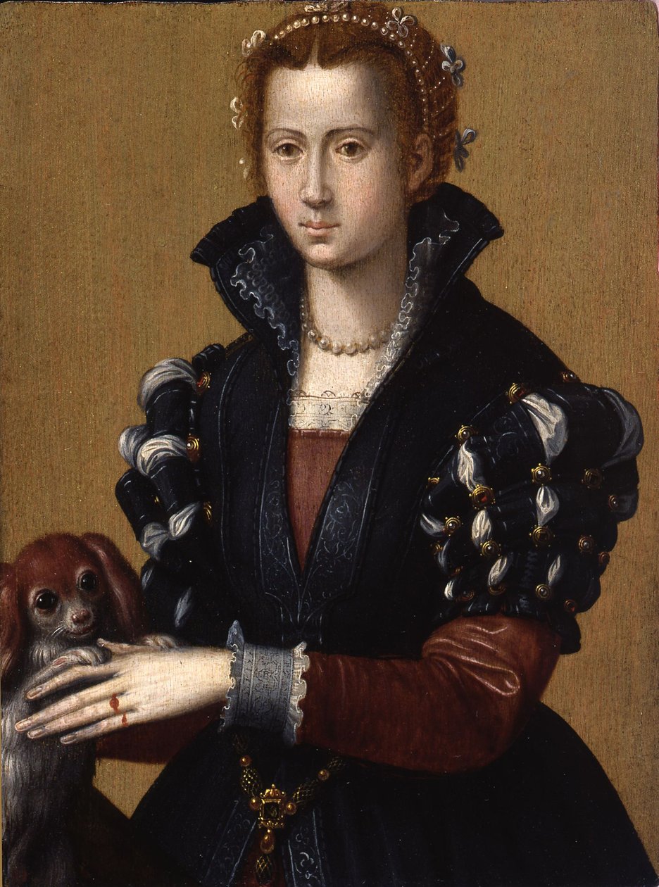 托莱多的埃莉诺拉肖像 作者 亚历山德罗·阿洛里（Alessandro Allori）