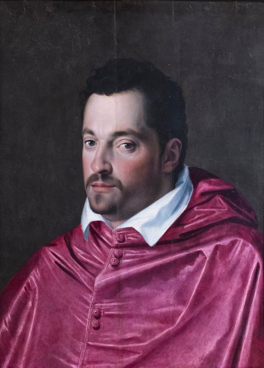红衣主教费迪南多·美第奇的肖像 作者 亚历山德罗·阿洛里（Alessandro Allori）