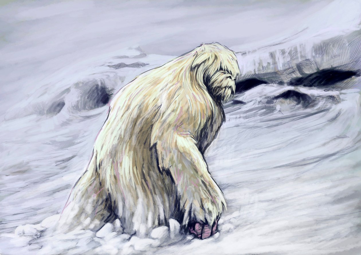 神奇的怪物和生物，隐秘动物学：喜马拉雅地区民间传说中的雪人或“可恶的雪人”拟人化生物的代表（雪人或可恶的雪人是一种类猿的隐秘生物，据说居住在喜马拉雅地区的喜马拉雅地区） 作者 亚历山德罗·洛纳蒂
