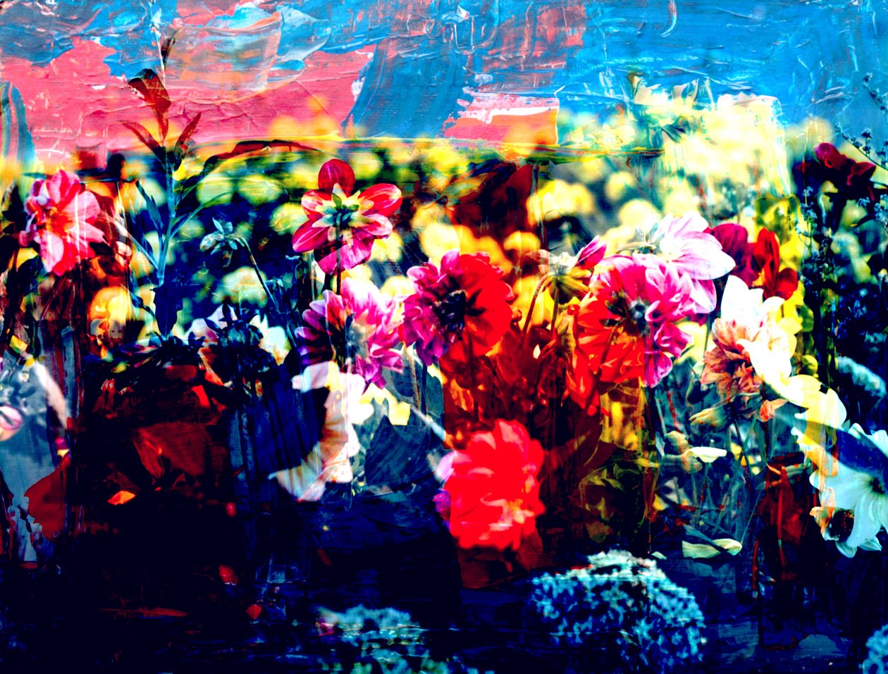 Field,2019,(collage) 作者 亚历克斯·卡明克
